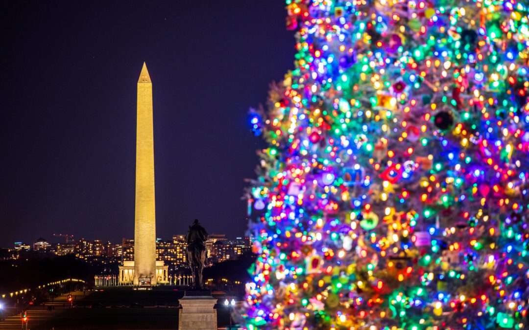 New Year's Reflections and Projections